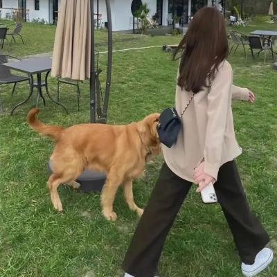 怪谈比留子